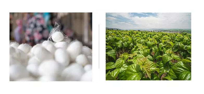 Wholesale china cheap sales well 100% Silk Eye Mask for good sleeping