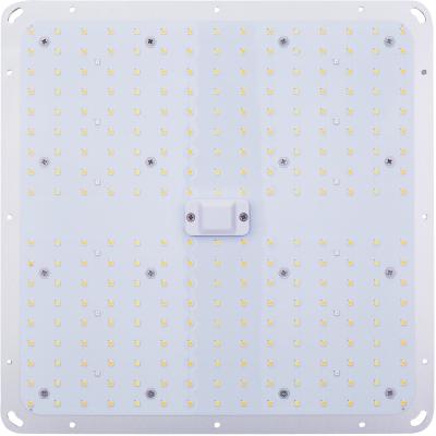 6500K 120W Hydroponic Led Grow Light 2.5μmol/J For Greenhouse