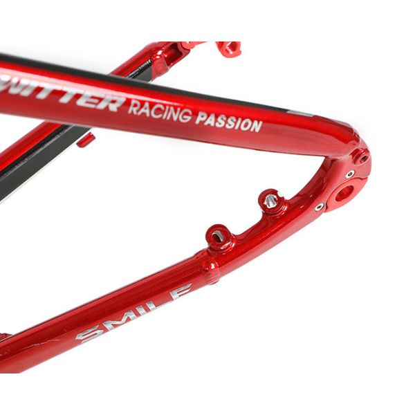 Рамка велосипеда сплава AL7005