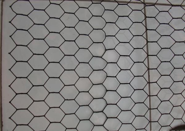 25mm Green Black Vinyl Coated Chicken Wire Fencing 1in 20 Gauge Poultry Netting