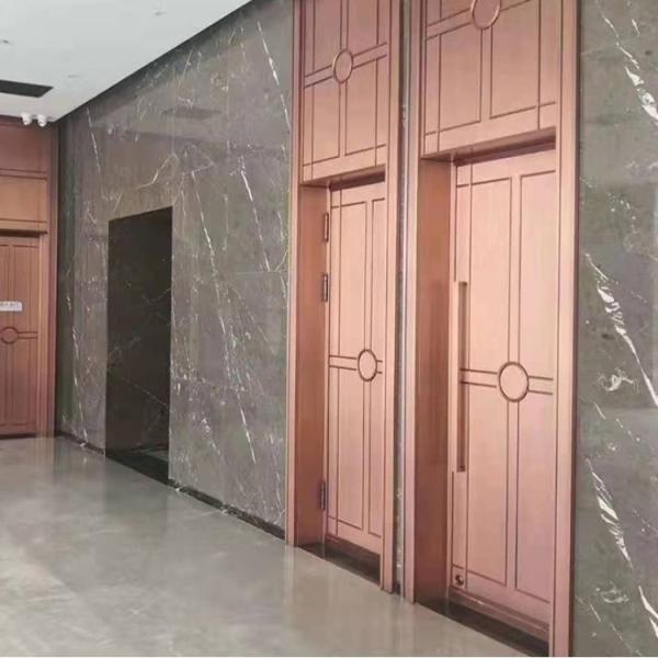 Galvanized Steel Decorative Metal Front Doors With Gold Handles