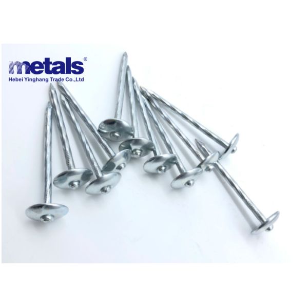 Высокопроизводительные 1/2 дюймовые оцинкованные стальные крышные гвоздья Долговечные результаты