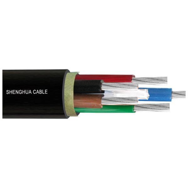                   0.6/1kv PVC Insulation PVC Sheath Power Cable with Nyy Nym Rvv VV VV22             