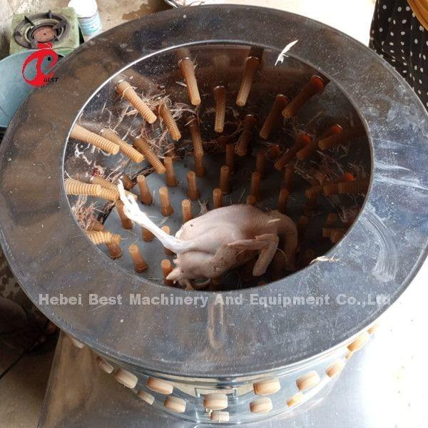220v Chicken Processing Machine Cutter And Defeathering For Broiler Poultry Farm Sandy