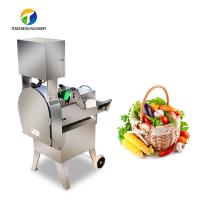 Máquina vegetal do cortador da única cabeça de 1000KG/H 1.25KW 220V (TS-Q115)