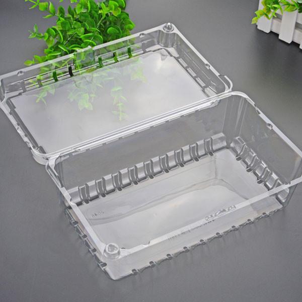 Thermoforming PET Sheet Polyethylene Terephthalate Rigid APET Sheet