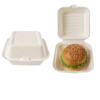 Boîte à burger jetable écologique compostable 6
