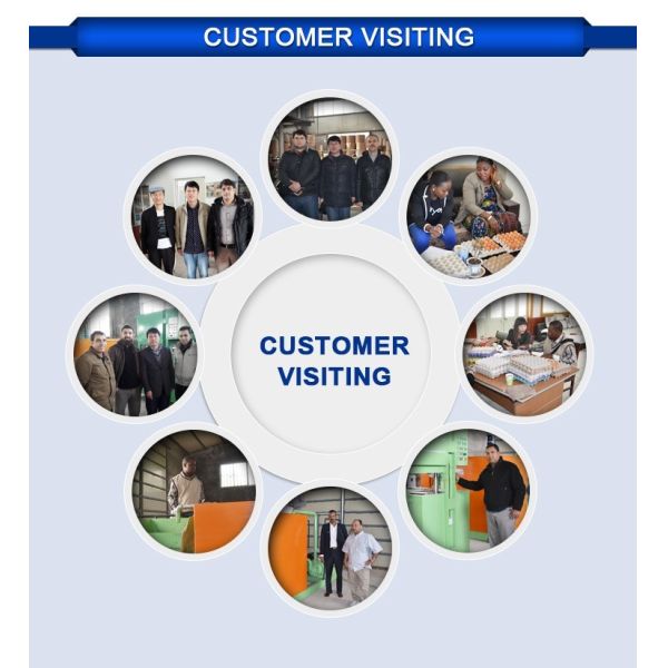 Полностью автоматическая линейка производства яичных карточек большой емкости 3*4