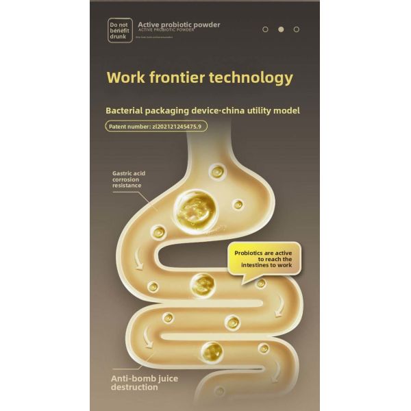 Alcohol-decomposing active probiotic powder, lactic acid bacteria probiotic supplement