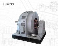 Moteur synchrone à grande échelle TDG 6kv pour usine d'acier à souffler à haute tension