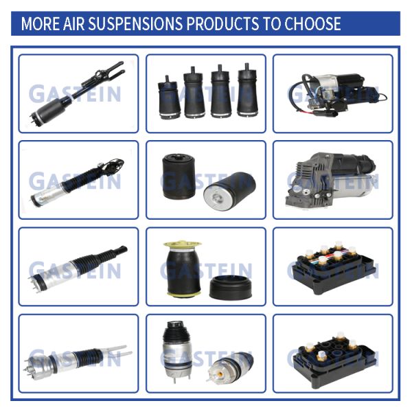 W166 1663200130 Mercedes Benz Air Suspension Parts