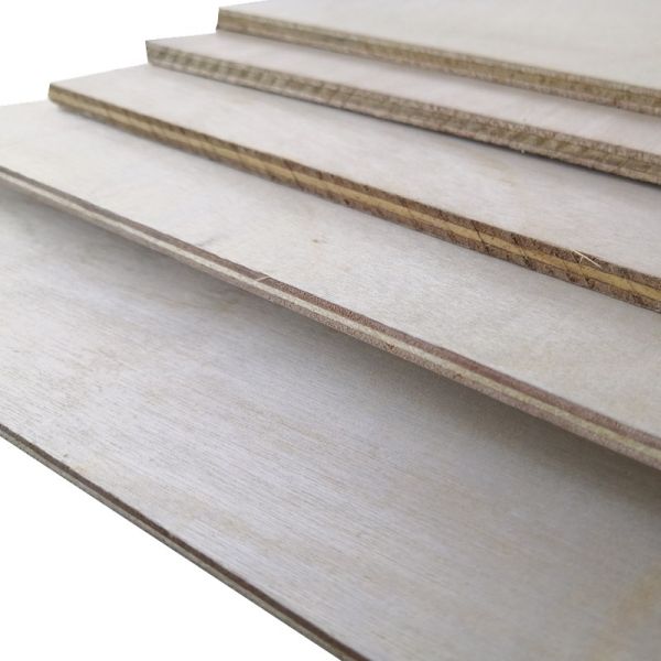 18mm Phenolic Birch Faced Plywood Mothproof For Furniture