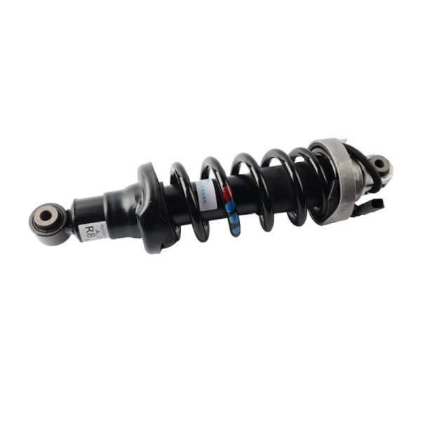Shock Absorber Audi Air Ride Suspension Parts For R8 2008-2016 Rear Hydraulic Pressure Damper 420 512 019 AL