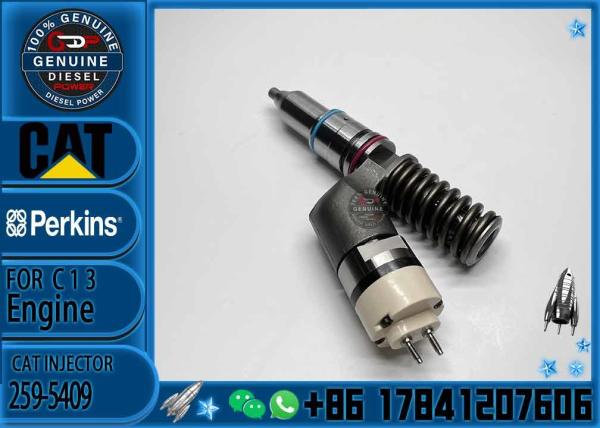 Fuel Injector Assembly 259-5409 10R-2977 10R-6162 20R-2437 212-3462 10R-0961 212-3463 For CAT Engine C13 Series