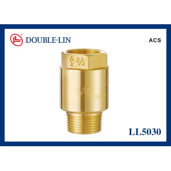 DIN259 поток 2" женщина x латунных задерживающих клапанов весны женская