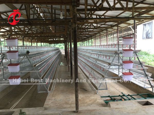 Наиболее популярный тип куриный слой батарейная клетка для продажи в Уганде 20000 птиц Звезда