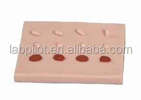 Professional Clinical Training Kit for Medical Science Multi-functional Minor Surgery