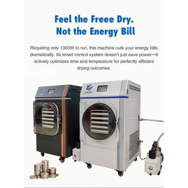 Smart Mini Freeze Dryer with Vacuum Pump Energy-Efficient Lyophilizer for Home Use
