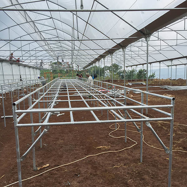 Agricultural Pvc Greenhouse Kits Poly Tech Greenhouse For Tomato Farming