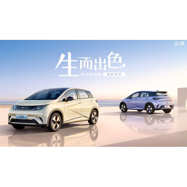 Mini Byd Dolphin Chinese EV Car Mini Pure Electric 5 Seater