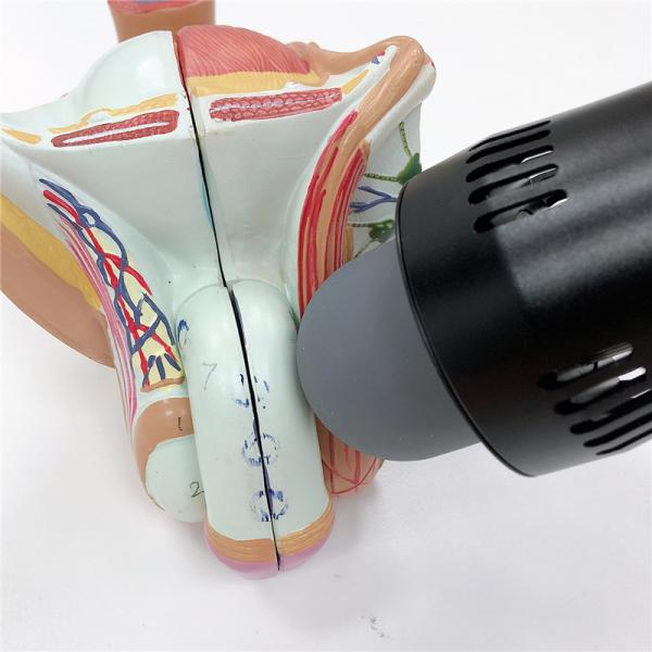 80KPA Shockwave ESWT Therapy Machine Stone Breaker Equipment