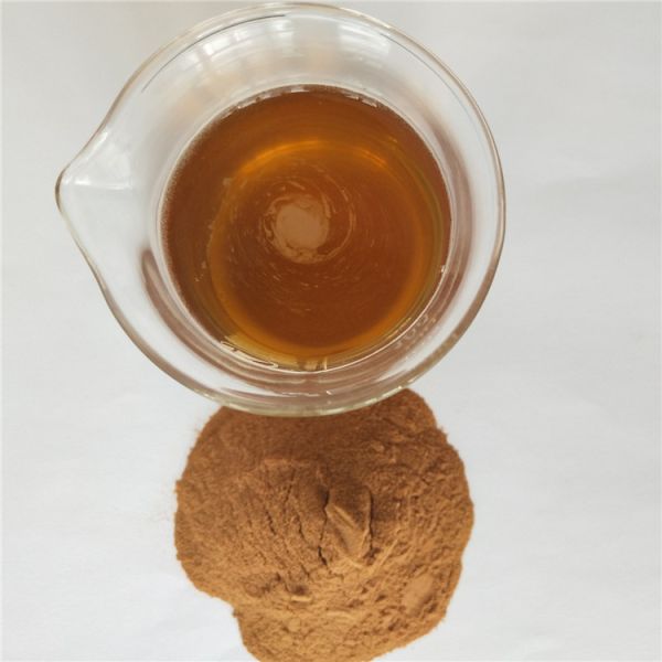 jujube fruit powder buy best health benefits supplement products drink freeze dried blackcurrant powder