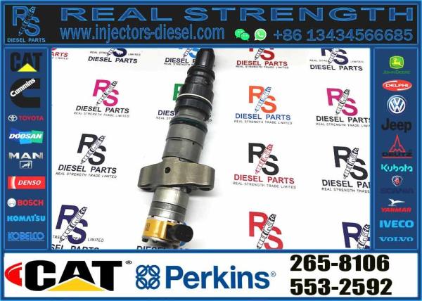 Injector For 254-4339 254-4340 258-8745 265-8106 266-4446 267-3360 267-3361 With Good Machine
