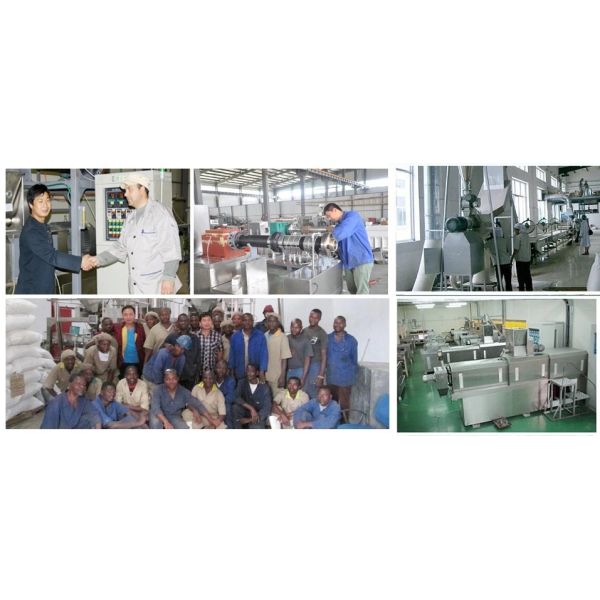 Семи влажный материал качества еды нержавеющей стали машины обслуживания собаки