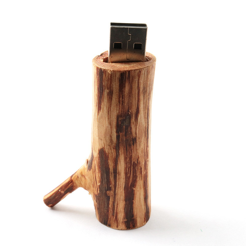 Корень дерева формирует деревянный логотип привода 256GB USB внезапный выбивая