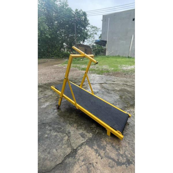 Adjustable Dog Running Iron Training Machine for Dogs Enhance Your Dog's Performance