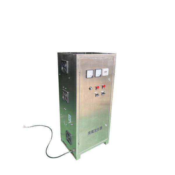 Home Electric Ozone Water Generator 10-1000 Mg/H