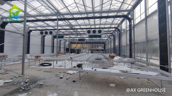 Estufa clara comercial de aço galvanizada quente da privação para o cultivo do cânhamo