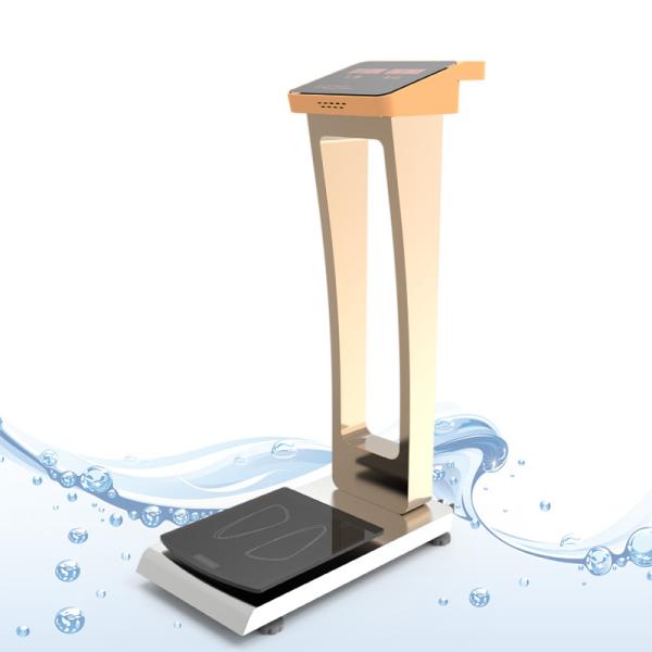 Customer Requirements 300kg Capacity Steel Coin Operated Luggage Scale for OEM/ODM