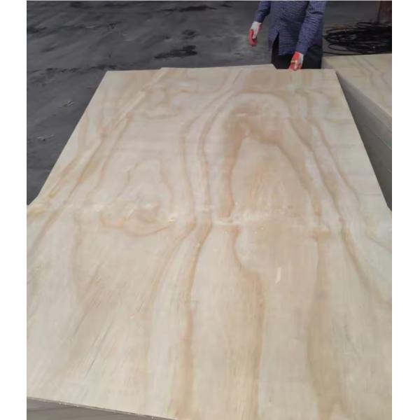 Modern Design 1/2 3/4 5/8 Inch Pine Plywood Waterproof and Durable Made in Linyi City
