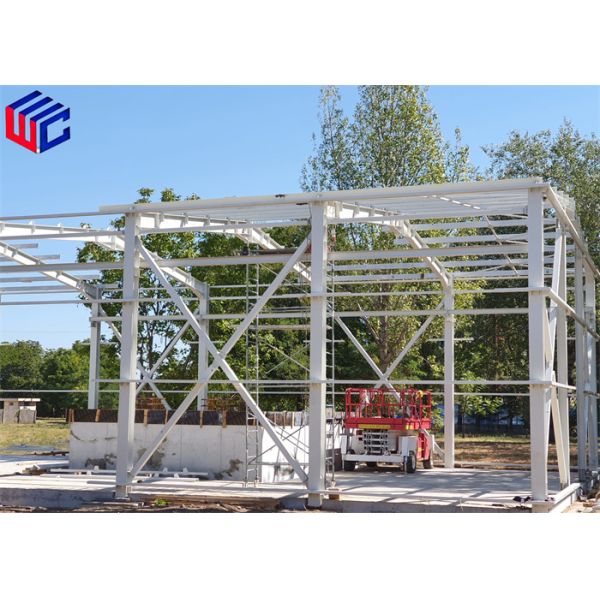 Heavy Duty Steel Structure with Galvanized or Painted Coating High-strength Steel and Customized Shape