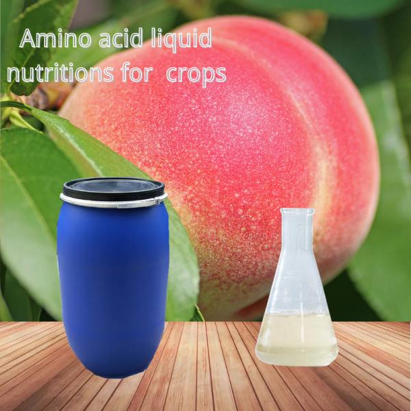 Adubo orgânico líquido do boro do zinco do quelato do ácido aminado para o adubo agrícola das colheitas