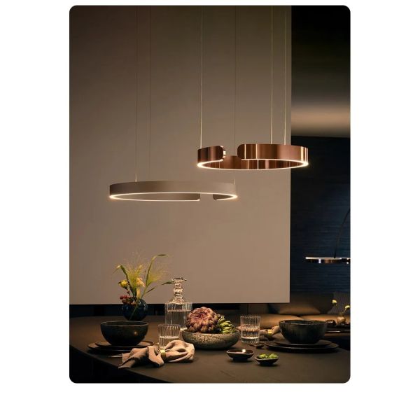 Mito sospeso chandelier Nordic Led Dimmable ring light staircase lamp (WH-NC-134)