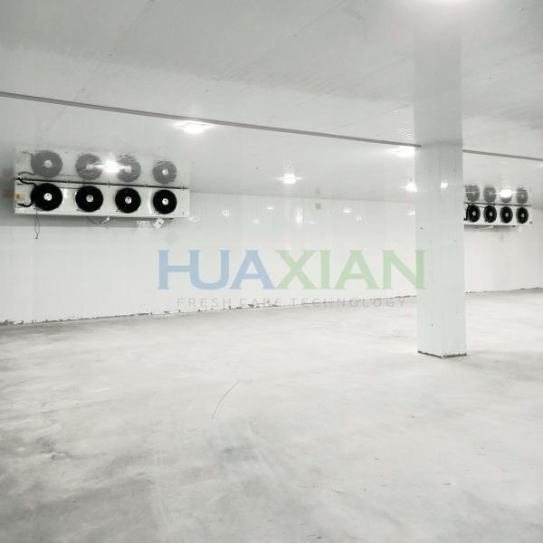 China Industrial Meat Walk in Freezer Type Refrigeration Cold Room Storage Equipment