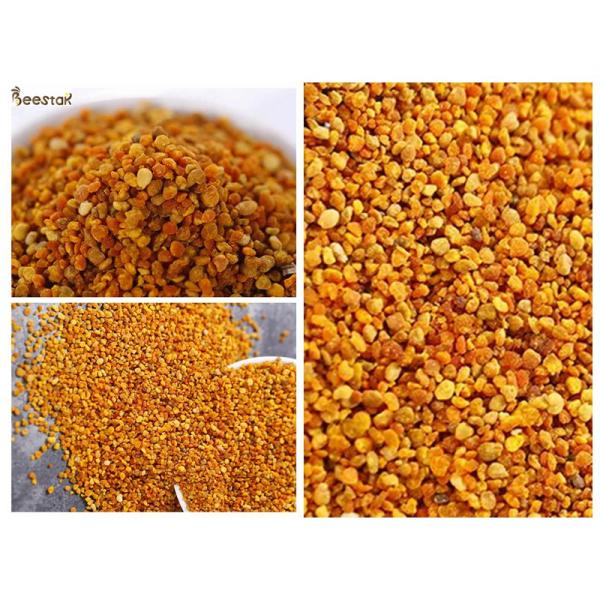Amarelo grande dos grânulo do pólen misturado fresco da abelha do girassol