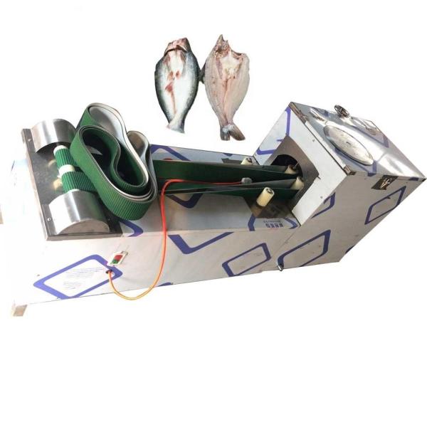 Home Food Stainless Steel Fish Cutting Machine Small For Tilapia Tuna