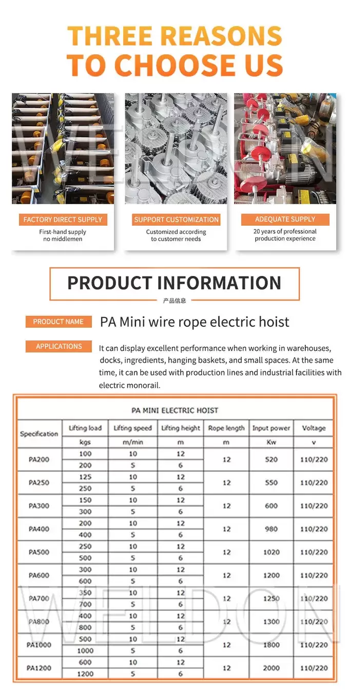 220V Portable Electric Hoist Light Weight Electric Lifting Hoist  For Home Garage Use