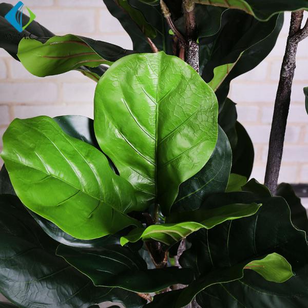 Green Artificial Ficus Plant , Ficus Lyrata Plant For Home Decoration R020002
