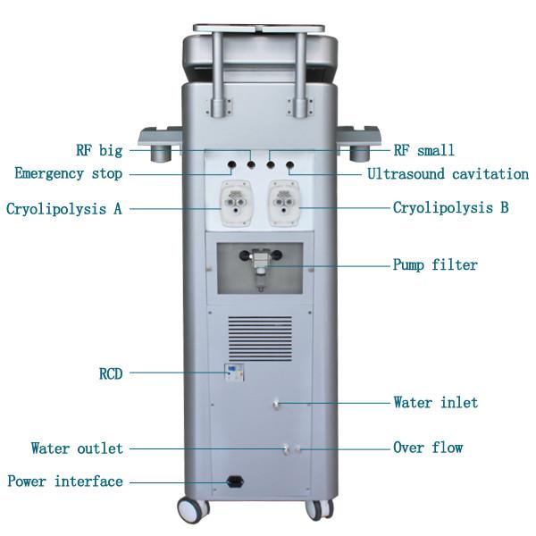 2019 Most Popular Smart Freezing Cryolipolysis Machine for Weight Loss/Plastic Surgery