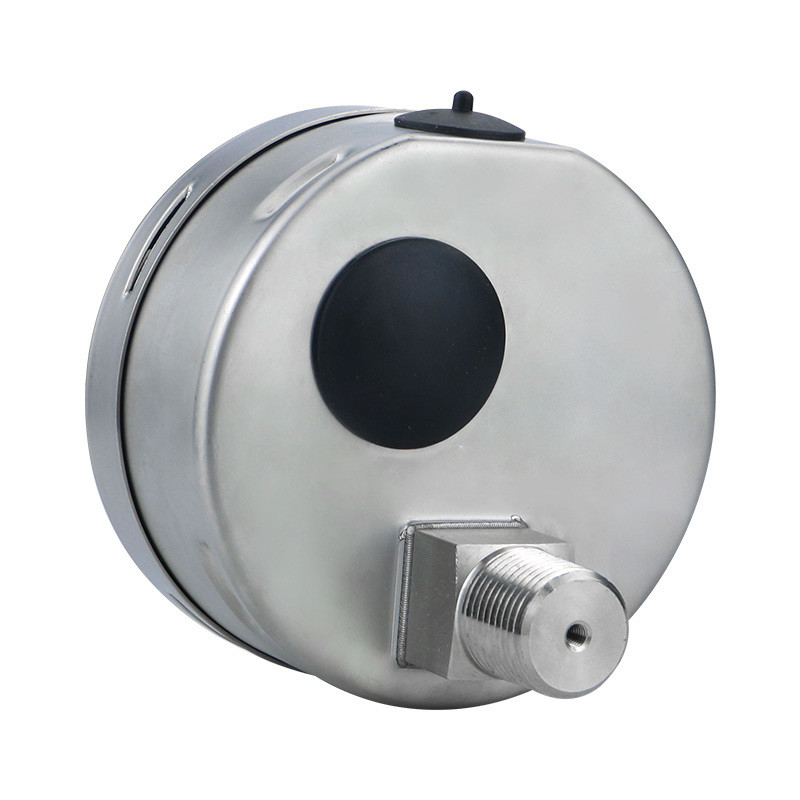 Field Stainless Steel Pressure Gauge for Low Pressure 1-600bar 100mm Made in Zhejiang