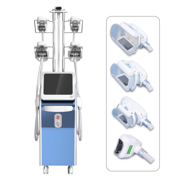 Cryolipolysis Fat Freeze Slimming Machine Vertical Type For Body / Chin