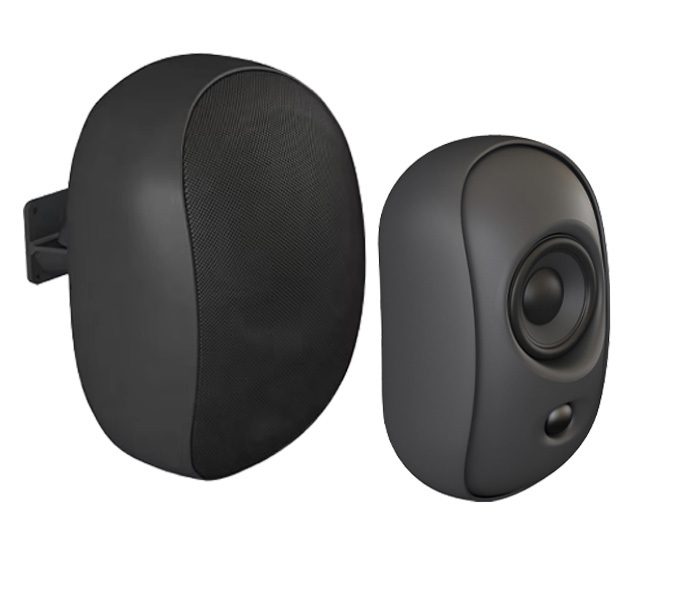 WAS-05 Black 5 Inch Tweeter And Woofer 30W Speakers For Commercial Applocations