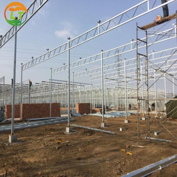 Large Polycarbonate Greenhouse for Vegetable and Flower Cultivation