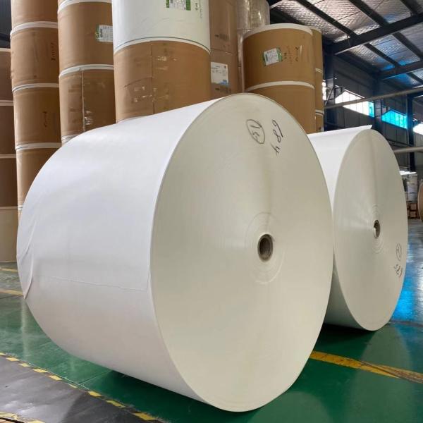Rolo de papel revestido em PE de 120 mm utilizado para copos quentes de qualidade alimentar Impressão personalizada