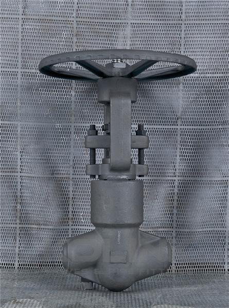 PSB Forged Steel Globe Valve CL2500 A105 F11 F22