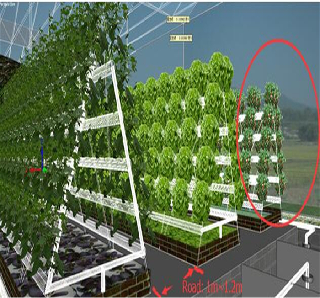 Soilless Culture Tomato Greenhouse With Nft Hydroponic System
